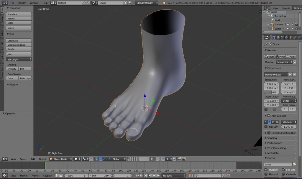 Right foot preview image 1